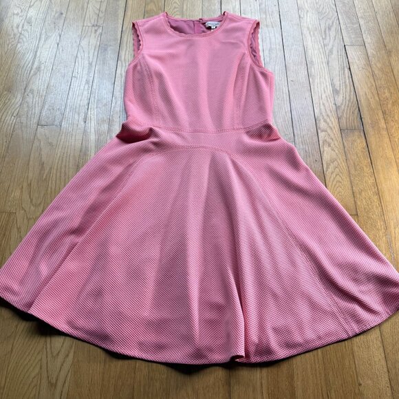 Rebecca Taylor Size 8 Women's Sleeveless Textured Pink Fit & Flare Dress - Picture 2 of 11